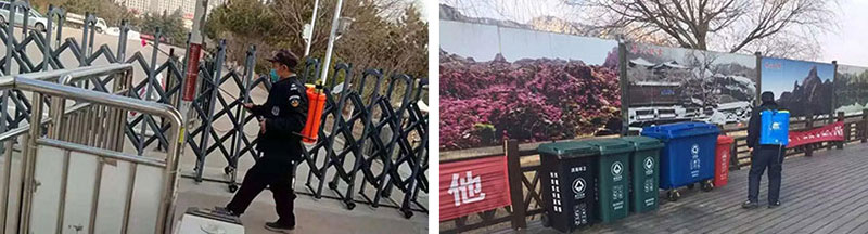 春已归，待疫情消散，大珠山邀您共赏杜鹃