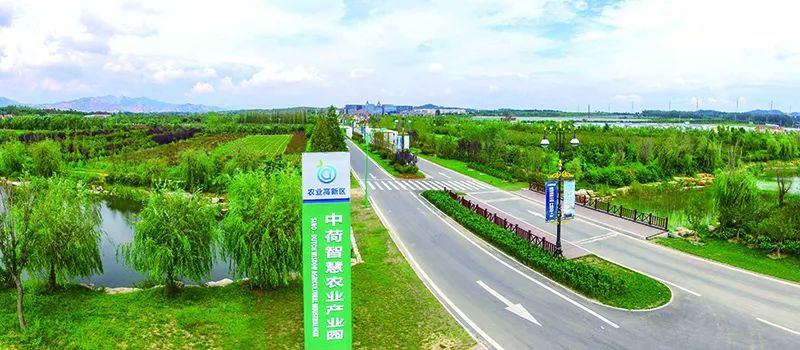 张家楼游玩推荐|美丽乡村让你踏上寻梦之旅