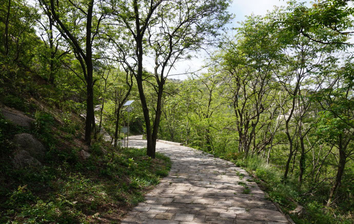 青岛游记之小珠山一切智园