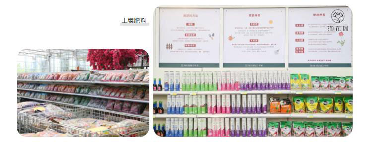 花花世界，“淘”你所爱！线上淘花节活动重磅来袭！