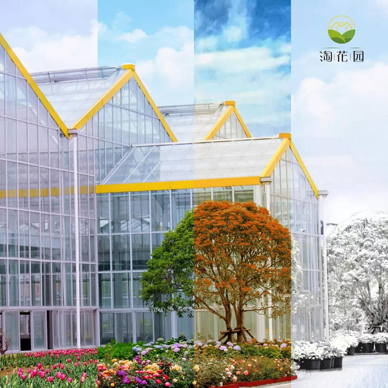 花花世界，“淘”你所爱！线上淘花节活动重磅来袭！