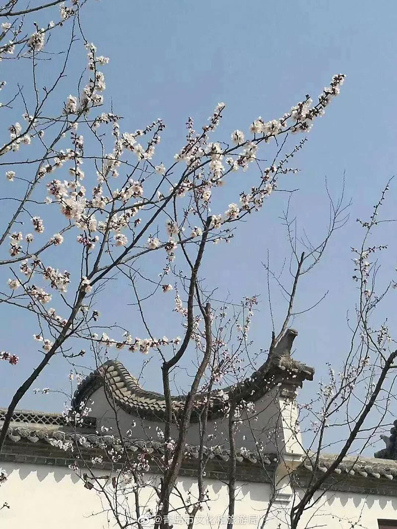 青岛文旅局推荐：中国院子——带给你中式生活哲思的地方