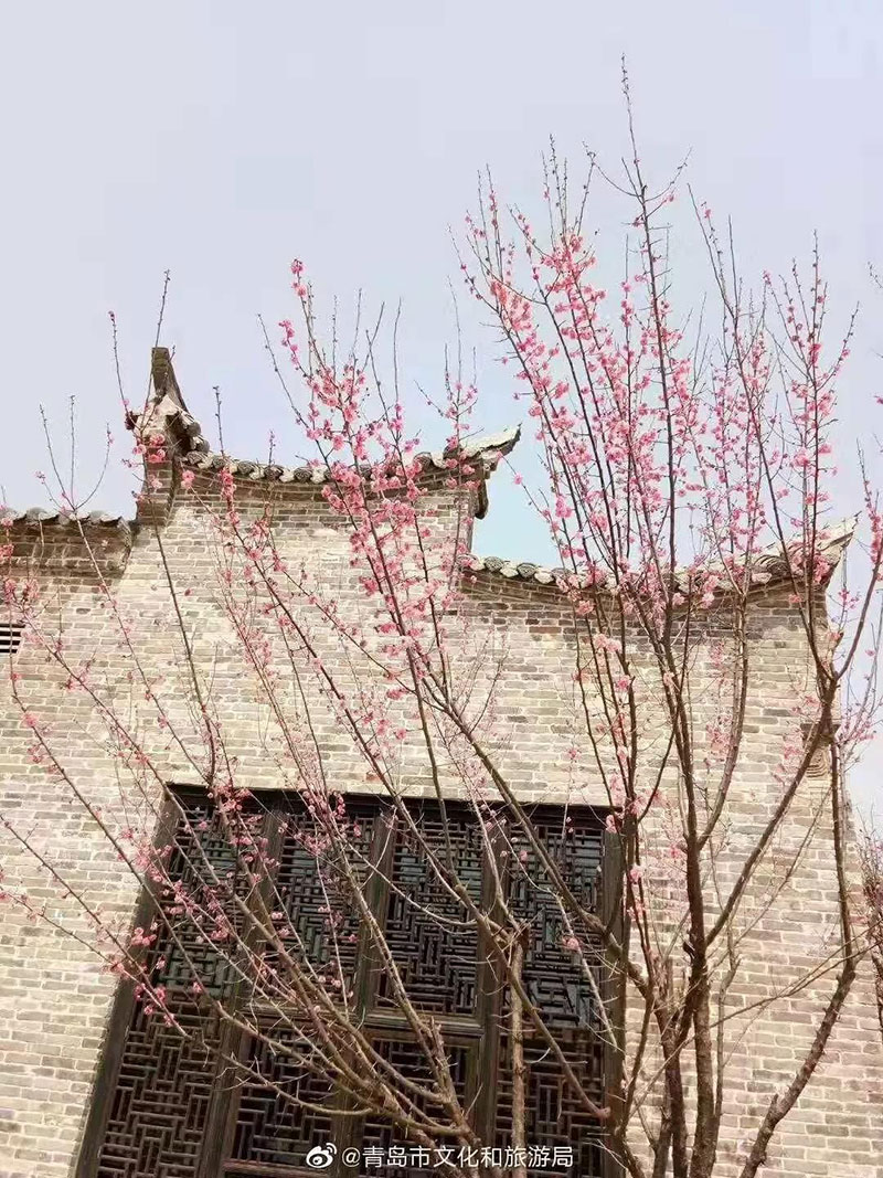 青岛文旅局推荐：中国院子——带给你中式生活哲思的地方