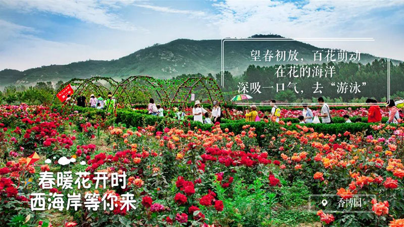 香博园