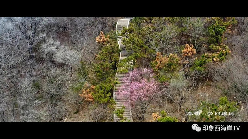 当你寻着始皇目光远眺浩渺的大海……